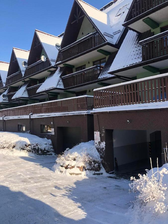Apart4Sleepers Apartament Dwupoziomowy Pardalowka Ζακοπάνε Εξωτερικό φωτογραφία